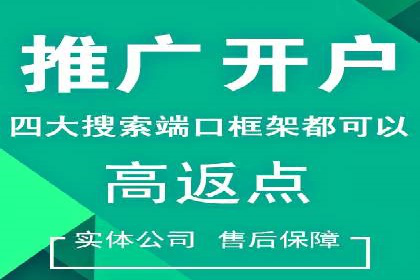 百度推广公司案例解析：如何通过百度推广实现品牌升级